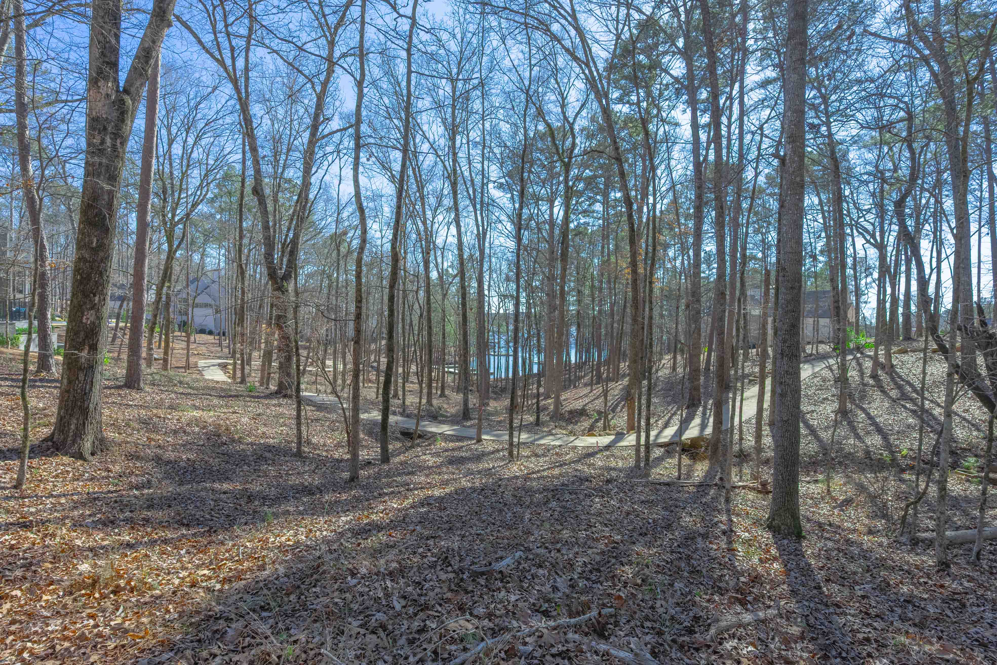 1261 Jumping Rock Drive image 6